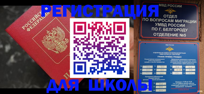 временная прописка в Павловске