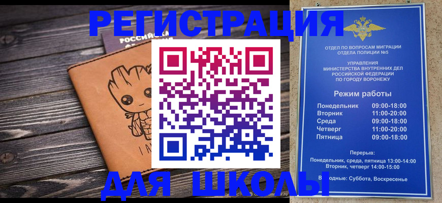 временная регистрация адрес в Павловске